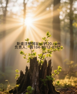 【xs9120.com】腾龙公司忘记了登录账号密码该怎么找回来